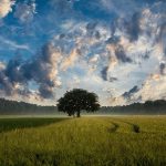 Niezawodny pod każdym względem fungicyd który już na was czeka